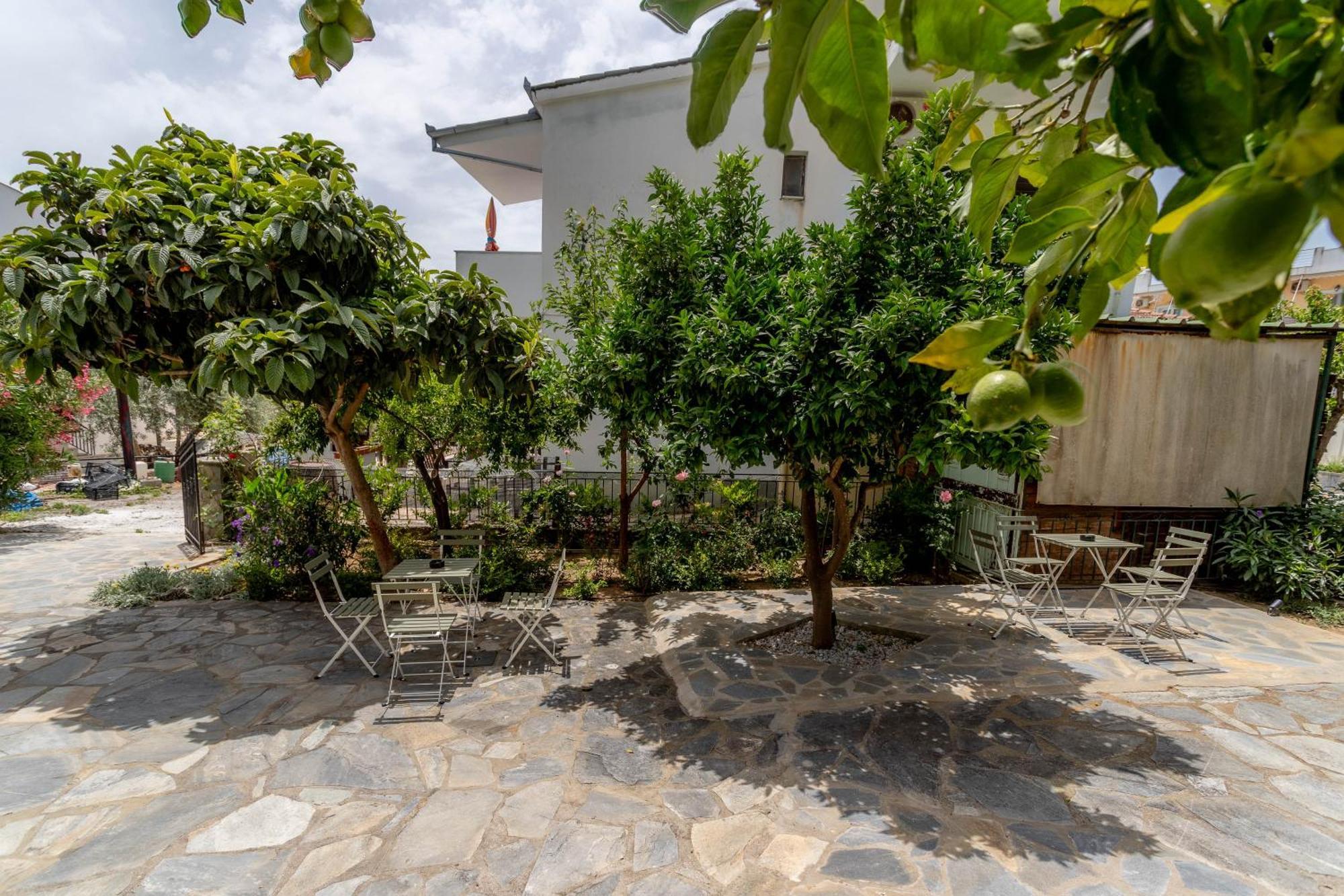 Pteleós Pteleo Apartments מראה חיצוני תמונה
